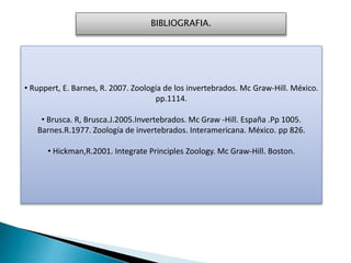 BIBLIOGRAFIA.
• Ruppert, E. Barnes, R. 2007. Zoología de los invertebrados. Mc Graw-Hill. México.
pp.1114.
• Brusca. R, Brusca.J.2005.Invertebrados. Mc Graw -Hill. España .Pp 1005.
Barnes.R.1977. Zoología de invertebrados. Interamericana. México. pp 826.
• Hickman,R.2001. Integrate Principles Zoology. Mc Graw-Hill. Boston.
 