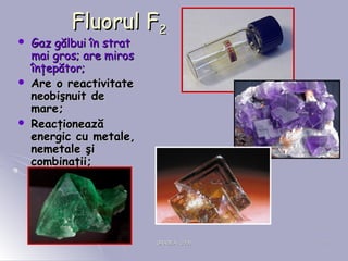ORADEA, 2008ORADEA, 2008 1111
Fluorul FFluorul F22
 Gaz gălbui în stratGaz gălbui în strat
mai gros; are mirosmai gros; are miros
înţepător;înţepător;
 Are o reactivitateAre o reactivitate
neobişnuit deneobişnuit de
mare;mare;
 ReacţioneazăReacţionează
energic cu metale,energic cu metale,
nemetale şinemetale şi
combinaţii;combinaţii;
 