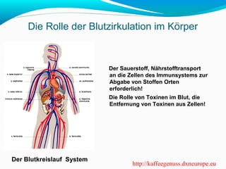 Die Rolle der Blutzirkulation im Körper 
Der Blutkreislauf System 
Der Sauerstoff, Nährstofftransport 
an die Zellen des Immunsystems zur 
Abgabe von Stoffen Orten 
erforderlich! 
Die Rolle von Toxinen im Blut, die 
Entfernung von Toxinen aus Zellen! 
http://kaffeegenuss.dxneurope.eu 
 