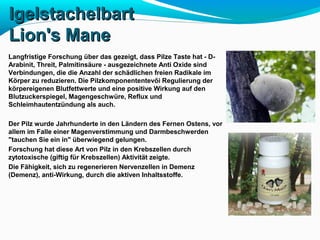 IIggeellssttaacchheellbbaarrtt 
LLiioonn''ss MMaannee 
Langfristige Forschung über das gezeigt, dass Pilze Taste hat - D-Arabinit, 
Threit, Palmitinsäure - ausgezeichnete Anti Oxide sind 
Verbindungen, die die Anzahl der schädlichen freien Radikale im 
Körper zu reduzieren. Die Pilzkomponententevői Regulierung der 
körpereigenen Blutfettwerte und eine positive Wirkung auf den 
Blutzuckerspiegel, Magengeschwüre, Reflux und 
Schleimhautentzündung als auch. 
Der Pilz wurde Jahrhunderte in den Ländern des Fernen Ostens, vor 
allem im Falle einer Magenverstimmung und Darmbeschwerden 
"tauchen Sie ein in" überwiegend gelungen. 
Forschung hat diese Art von Pilz in den Krebszellen durch 
zytotoxische (giftig für Krebszellen) Aktivität zeigte. 
Die Fähigkeit, sich zu regenerieren Nervenzellen in Demenz 
(Demenz), anti-Wirkung, durch die aktiven Inhaltsstoffe. 
 