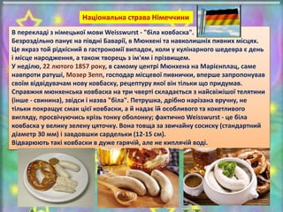 В перекладі з німецької мови Weisswurst - "біла ковбаска".
Безроздільно панує на півдні Баварії, в Мюнхені та навколишніх пивних місцях.
Це якраз той рідкісний в гастрономії випадок, коли у кулінарного шедевра є день
і місце народження, а також творець з ім'ям і прізвищем.
У неділю, 22 лютого 1857 року, в самому центрі Мюнхена на Марієнплац, саме
навпроти ратуші, Мозер Зепп, господар місцевої пивнички, вперше запропонував
своїм відвідувачам нову ковбаску, рецептуру якої він тільки що придумав.
Справжня мюнхенська ковбаска на три чверті складається з найсвіжішої телятини
(інше - свинина), звідси і назва "біла". Петрушка, дрібно нарізана вручну, не
тільки покращує смак цієї ковбаски, а й надає їй особливого та кокетливого
вигляду, просвічуючись крізь тонку оболонку; фактично Weisswurst - це біла
ковбаска у велику зелену цяточку. Вона товща за звичайну сосиску (стандартний
діаметр 30 мм) і завдовшки сардельки (12-15 см).
Відварюють такі ковбаски в дуже гарячій, але не киплячій воді.
Національна страва Німеччини
 