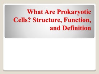 What Are Prokaryotic
Cells? Structure, Function,
and Definition
 