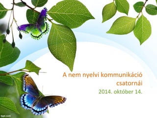 A nem nyelvi kommunikáció 
csatornái 
2014. október 14. 
 