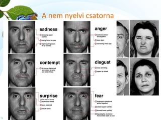 A nem nyelvi csatorna 
• mimika 
 
