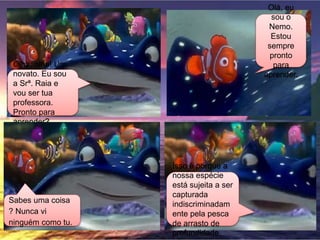 Olha, olha! Um
novato. Eu sou
a Srª. Raia e
vou ser tua
professora.
Pronto para
aprender?
Olá, eu
sou o
Nemo.
Estou
sempre
pronto
para
aprender.
Sabes uma coisa
? Nunca vi
ninguém como tu.
Isso é porque a
nossa espécie
está sujeita a ser
capturada
indiscriminadam
ente pela pesca
de arrasto de
profundidade.
 