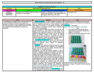 hoy? Escuchar con atención cada una de las respuestas.
MOMENTO 5. Vivamos la experiencia
Actividad 6 ¿Qué necesitan las plantas para vivir? Fecha:
Campo formativo Contenido Procesos de Desarrollo de Aprendizaje (PDA) Ejes articuladores
SABERES Y
PENSAMIENTO
CIENTÍFICO
Exploración de la diversidad natural que existe en la
comunidad y en otros lugares.
Amplía su conocimiento acerca de las plantas: su
proceso de crecimiento, lo que necesitan para vivir,
los lugares donde crecen, entre otros.
Pensamiento crítico.
Inicio Desarrollo Cierre
1.Comencemos las actividades de hoy y para esto daré inicio
con las actividades de rutina pase lista y registro de
asistencia en el pizarrón, una vez realizadas las actividades
de rutina cuestionar a los niños ¿Cuántos asistieron el día de
hoy? ¿Quiénes faltaron? Escuchara con atención sus
respuestas.
2. Tiempo de compartir. Se llegó el momento de compartir la
tarea que trajeron de casa invitar a los niños a sentarnos en el
piso en semicírculo para que por turnos expresen lo que
investigaron con relación a lo que necesitan las plantas para
vivir. Escuchar con atencion y permitir que se expresen de
acuerdo con sus posibilidades.
3. Abrir un espacio de dialogo para explicar a los niños que las
plantas necesitan aire, agua, tierra y sol para poder vivir,
además de los cuidados que nosotros los seres humanos, les
podemos brindar para que no se extingan; y es que, por muchos
años, los animales, incluido el ser humano, nos hemos
beneficiado de ellas para sobrevivir. Además de ser parte de
nuestra alimentación, también nos ayudan para poder respirar,
ya que las plantas producen el oxígeno que respiramos.
5. ¿Las plantas son seres vivos? Explicar a los niños que las
plantas son seres vivos, por lo tanto, tienen un ciclo vital:
nacen, se alimentan, crecen, respiran, se reproducen,
envejecen y mueren.
4. Mi plantita. Como siguiente actividad les pediré que tomen
su planta que trajeron de casa y compartan a sus compañeros
lo que saben de ella como, por ejemplo: mencionen como se
llaman, como es, que tamaño tiene, etc.
5.Preguntar a los niños qué cuidados requieren y cómo lo
haremos. Designemos un lugar para las plantas en el salón de
clases. Les propondré implementar un calendario para llevar un
control sobre el riego de las plantas que trajeron de casa.
6.Pediré que imaginen lo que las plantas necesitan para vivir y
su utilidad en nuestra vida y para esto me apoyare de algunos
cuestionamientos ¿las plantas comen? ¿toman agua? ¿respiran
aire? ¿tienen frío? ¿cómo creen que nacen? ¿por qué crecen
las plantas? ¿requieren de cuidados? ¿para qué sirven?
Escuchar con atencion cada una de sus respuestas y hacer los
registros pertinentes. Para enriquecer sus respuestas los
invitare a mirar el siguiente video “Que necesitan las plantas”
https://www.youtube.com/watch?v=8xgfFcxt_uA una vez que
miraron el video dialogar sobre el mismo.
7.Por equipos pediré que elaboren un cartel informativo sobre
lo que necesitan las plantas para posteriormente pegarlo a la
7.Concluyamos con las actividades de hoy y para esto
recabemos evidencias en el cuadernillo de actividades en
el anexo 6
Pausa activa. “Crece planta “
https://www.youtube.com/watch?v=xDqcXFp2bko
Tarea
 Con ayuda de mamá investiga ¿Por qué las
flores florecen en primavera? Representa con
imágenes tu información.
 Llevar una caja de huevos pinta en color verde.
He de pedir que se le haga una apertura como se
muestra en la imagen. Si es posible también encargarles
las flores.
 