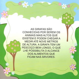 Nem todas as girafas são iguais