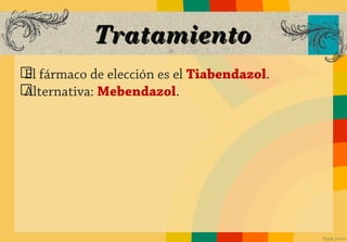 Tratamiento
ග fármaco de elección es el Tiabendazol.
El
ග
Alternativa: Mebendazol.
 