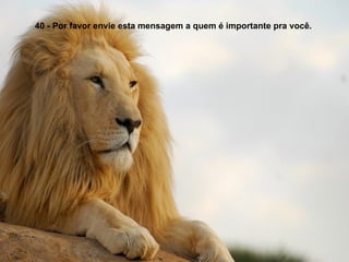 40 - Por favor envie esta mensagem a quem é importante pra você.  