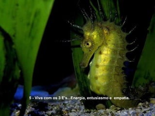 5 - Viva com os 3 E's...Energia, entusiasmo e  empatia. 