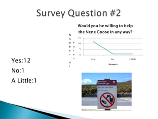 Yes:12 No:1 A Little:1 