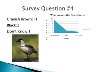 Grayish Brown:11 Black:2 Don’t Know:1 