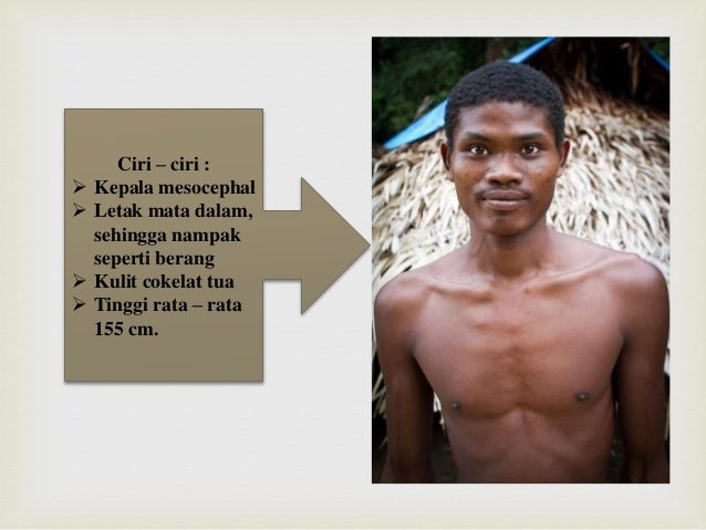 Nenek moyang bangsa indonesia by :ufi