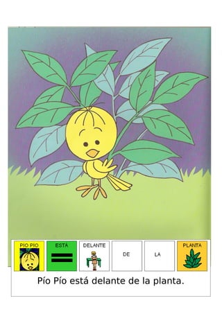 Pío Pío está delante de la planta.