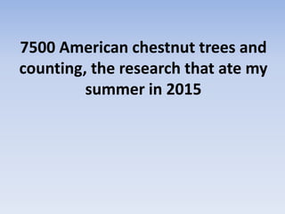 7500 American chestnut trees and
counting, the research that ate my
summer in 2015
 