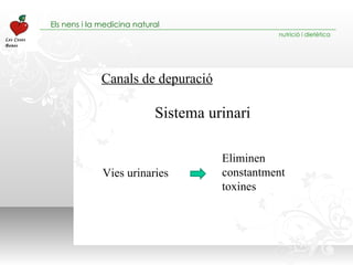 Canals de depuració Sistema urinari Eliminen constantment toxines Vies urinaries 
