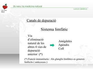 Canals de depuració Sistema limfàtic Amígdales Apèndix Coll Via d’eliminació natural de les altres 4 vies de depuració anterior  (*) (*) Funció immunitaria : Als glanglis limfàtics es generen linfòcits ( anticossos ) 