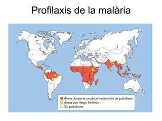 Profilaxis de la malària
 
