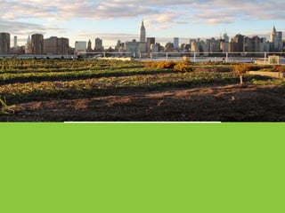 Neo green