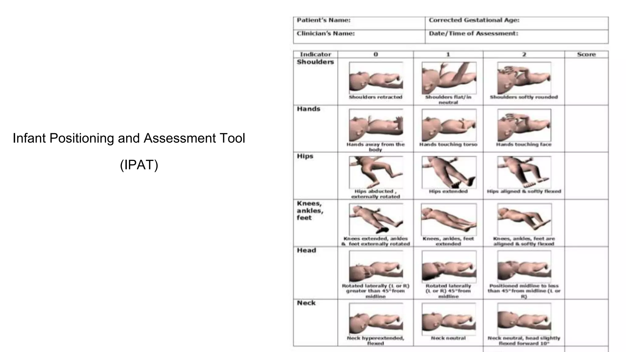 neonatal environment | PPTX