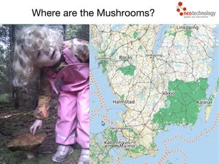 Where are the Mushrooms?
 