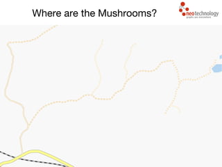 Where are the Mushrooms?
 