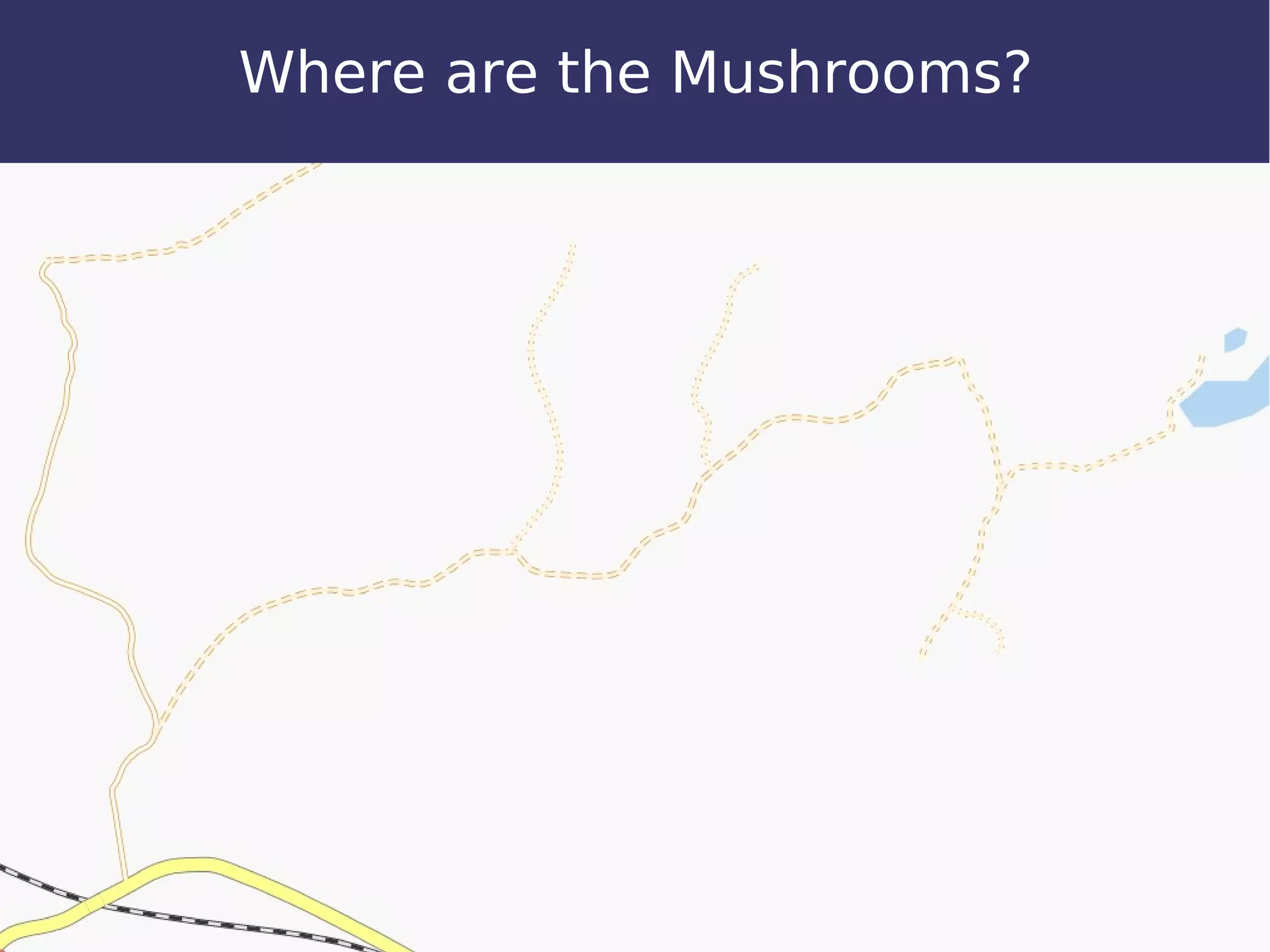 Where are the Mushrooms?
 
