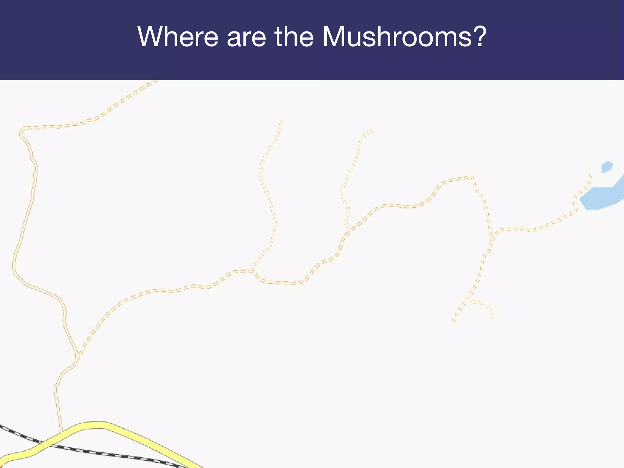 Where are the Mushrooms?
 