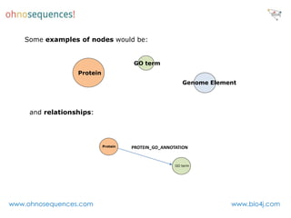 Some examples of nodes would be:


                                      GO term
                  Protein
                                                         Genome Element




     and relationships:




                            Protein   PROTEIN_GO_ANNOTATION


                                                      GO term




www.ohnosequences.com                                                www.bio4j.com
 