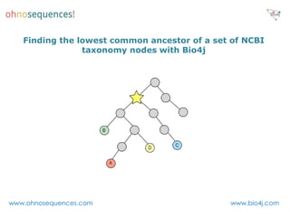 Finding the lowest common ancestor of a set of NCBI
                taxonomy nodes with Bio4j




www.ohnosequences.com                         www.bio4j.com
 