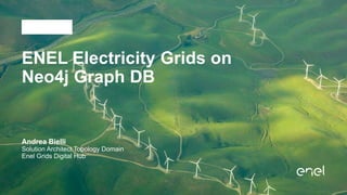 ENEL Electricity Grids on
Neo4j Graph DB
Andrea Bielli
Solution Architect Topology Domain
Enel Grids Digital Hub
 