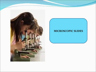 MICROSCOPIC SLIDES
 