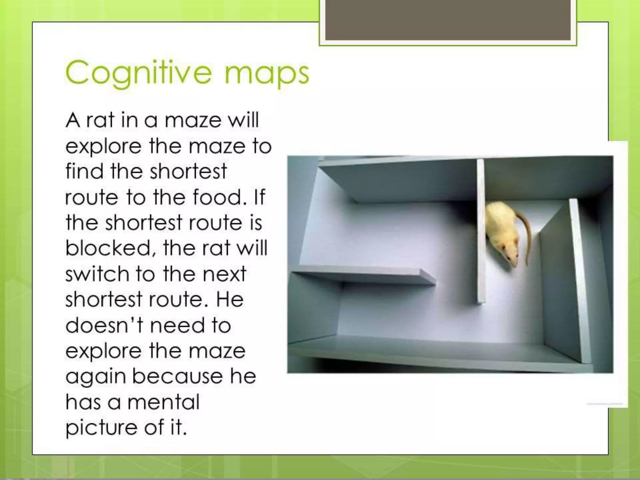 Tolman’s Key Conept
Learning is always purposive and goal-directed. Tolman
asserted the learning is always purposive and goal-directed. He
believed individuals do more than merely respond to stimuli; they
act on beliefs, attitudes, changing conditions, and they strive
toward goals. Tolman saw behavior as holistic, purposive and
cognitive.
Cognitive maps (in rats)
This is tendency to “learn location” signified that rats somehow
formed cognitive maps that help them perform well on the maze.
They learned the location rather than a specific sequence of
turns. He also found out that oganisms will select the shortest or
easiest path to achieve a goal
 