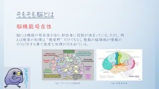 初学者向け脳科学入門