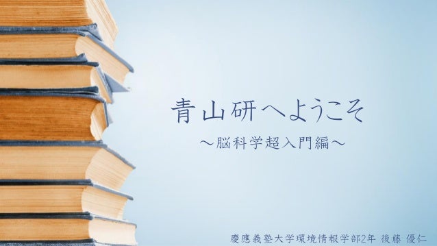 初学者向け脳科学入門 初学者向け脳科学入門
