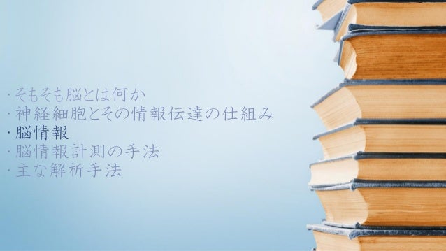 初学者向け脳科学入門