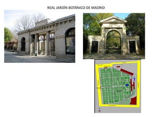 REAL JARDÍN BOTÁNICO DE MADRID
 