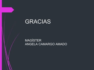GRACIAS
MAGÍSTER
ANGELA CAMARGO AMADO
 