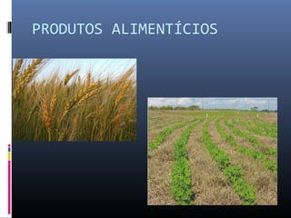 PRODUTOS ALIMENTÍCIOS
 