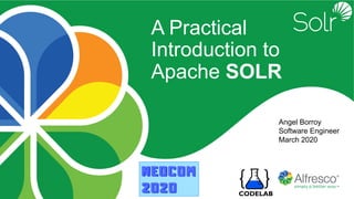Angel Borroy
Software Engineer
March 2020
A Practical
Introduction to
Apache SOLR
CODELAB
 