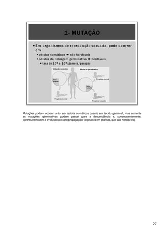 Mutações podem ocorrer tanto em tecidos somáticos quanto em tecido germinal, mas somente
as mutações germinativas podem passar para a descendência e, consequentemente,
contribuírem com a evolução (exceto propagação vegetativa em plantas, que são herdáveis).
27
 
