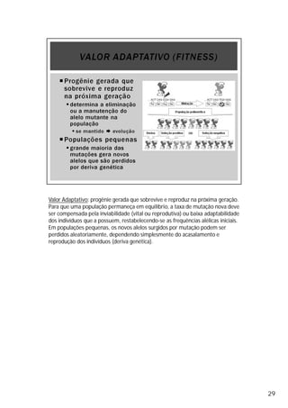 29
Valor Adaptativo: progênie gerada que sobrevive e reproduz na próxima geração.
Para que uma população permaneça em equilíbrio, a taxa de mutação nova deve
ser compensada pela inviabilidade (vital ou reprodutiva) ou baixa adaptabilidade
dos indivíduos que a possuem, restabelecendo-se as frequências alélicas iniciais.
Em populações pequenas, os novos alelos surgidos por mutação podem ser
perdidos aleatoriamente, dependendo simplesmente do acasalamento e
reprodução dos indivíduos (deriva genética).
 