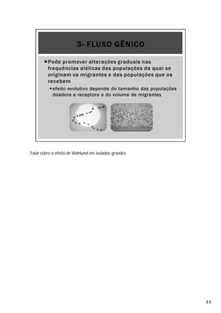 Falar sobre o efeito de Wahlund em isolados grandes.
44
 