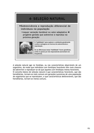A seleção natural age no fenótipo, ou nas características observáveis de um
organismo, de modo que indivíduos com fenótipos favoráveis têm mais chances
de sobreviver e reproduzir-se do que aqueles com fenótipos menos favoráveis.
O conceito básico de seleção natural é que características favoráveis, que são
hereditárias, tornam-se mais comuns em gerações sucessivas de uma população
de organismos que se reproduzem, e que características desfavoráveis, que são
hereditárias, tornam-se menos comuns.
46
 