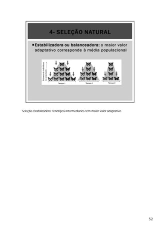 Seleção estabilizadora: fenótipos intermediários têm maior valor adaptativo.
52
 