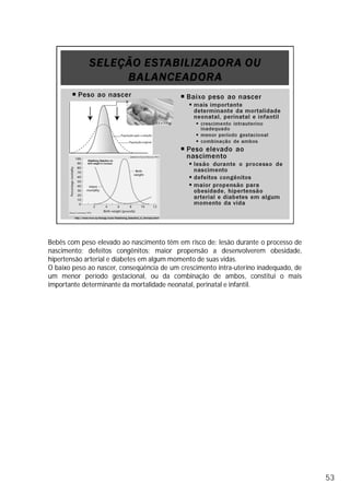 Bebês com peso elevado ao nascimento têm em risco de: lesão durante o processo de
nascimento; defeitos congênitos; maior propensão a desenvolverem obesidade,
hipertensão arterial e diabetes em algum momento de suas vidas.
O baixo peso ao nascer, conseqüência de um crescimento intra-uterino inadequado, de
um menor período gestacional, ou da combinação de ambos, constitui o mais
importante determinante da mortalidade neonatal, perinatal e infantil.
53
 