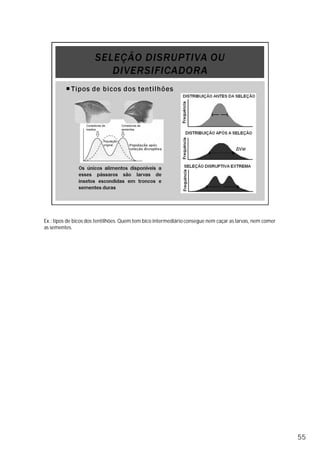 Ex.: tipos de bicos dos tentilhões. Quem tem bico intermediárioconsegue nem caçar as larvas, nem comer
as sementes.
55
 