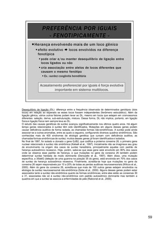 Desequilíbrio de ligação (DL): diferença entre a frequência observada de determinados genótipos (dois
locos) em relação ao esperado se esses locos fossem independentes (fenômeno estocástico). Além da
ligação gênica, vários outros fatores podem levar ao DL, mesmo em locos que estejam em cromossomos
diferentes: seleção, deriva, sub-estruturação, mistura. Dessa forma, DL não implica, portanto, em ligação
física e ligação física nem sempre leva ao DL.
O estudo das causas genéticas de surdez avançou significativamente nos últimos quatro anos. Há algum
tempo genes relacionados à surdez têm sido identificados. Mutações em alguns desses genes podem
causar deficiência auditiva de forma isolada, as chamadas formas não-sindrômicas. A surdez pode ainda
associar-se a outras anomalias, entre as quais a cegueira, configurando diversos quadros sindrômicos. São
conhecidas mais de 400 síndromes de etiologia genética que cursam com deficiência auditiva, as
chamadas formas sindrômicas de surdez; muitos desses genes já foram identificados e isolados.
No final de 1997, foi isolado e clonado o gene GJB2, que codifica a proteína conexina 26, o primeiro gene
nuclear relacionado à surdez não sindrômica (Kelsell et al., 1997). Inicialmente não se imaginava seu grau
de envolvimento na origem dos casos de surdez hereditária, principalmente aqueles com padrão de
herança autossômico recessivo. Hoje, porém, sabe-se que esse gene está envolvido em 80% dos casos
onde se observa esse padrão de herança, e que mutações no gene da conexina 26 também podem
determinar surdez herdada de modo dominante (Denoyelle et al., 1997). Além disso, uma mutação
específica, a 35delG (deleção de uma guanina na posição 35 do gene), está envolvida em 70% dos casos
de surdez de herança autossômica recessiva. Finalmente, acredita-se hoje que mutações no gene da
conexina 26 sejam responsáveis por 10 a 20% de todas as perdas auditivas neurossensoriais (Wilcox et al.,
2000). Além do gene da conexina 26, acredita-se que mais de 100 outros genes estejam envolvidos na
etiologia da surdez neurossensorial não-sindrômica (Sobe et al., 2000). Alguns desses genes podem estar
associados tanto a surdez não-sindrômica quanto às formas sindrômicas; entre eles estão as conexinas 30
e 31, associadas não só à surdez não-sindrômica com padrão autossômico dominante mas também a
quadros em que a surdez se associa a enfermidades de pele (Rabionet et al., 2000).
59
 