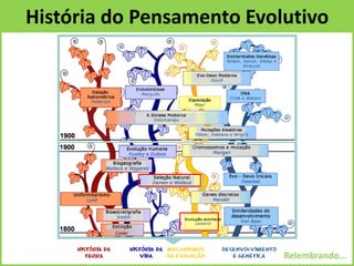 História do Pensamento Evolutivo
Relembrando...
 