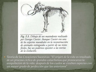 Teoría de las Creaciones Sucesivas: “El origen de la vida es resultado de un proceso cíclico de grandes cataclismos que provocaron la aniquilación de la vida, después de los cuales se creaban especies con un mayor grado de perfección que las anteriores”